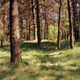 Image for article titled See If You Can Spot The Camouflaged Snipers In These Pictures